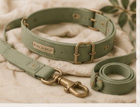 Velvet Paw-dventure Leash