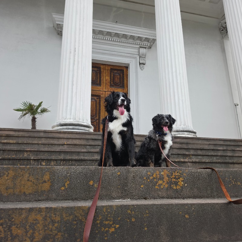 Kailo and Behr